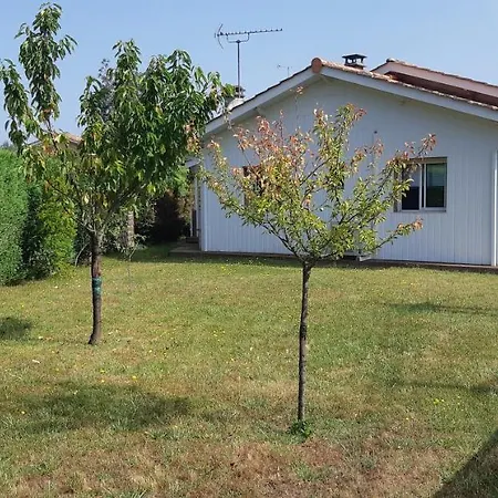 Maison Chaleureuse Lège-Cap-Ferret
