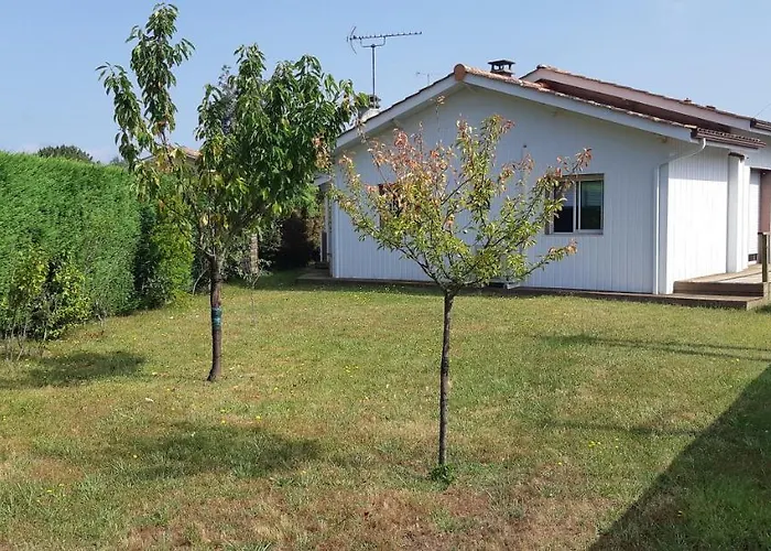 Maison Chaleureuse Lège-Cap-Ferret